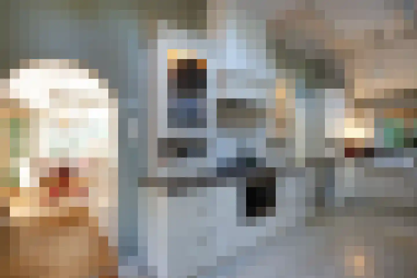 Matthijssenhoutweg 19 Blaricum thumbnail 16