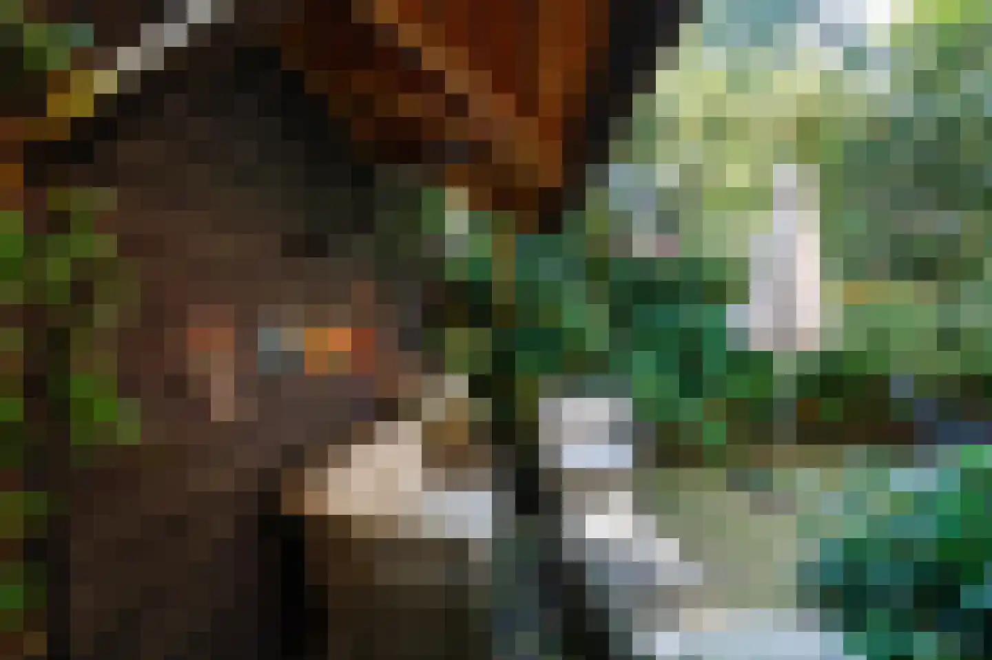 Matthijssenhoutweg 19 Blaricum thumbnail 25