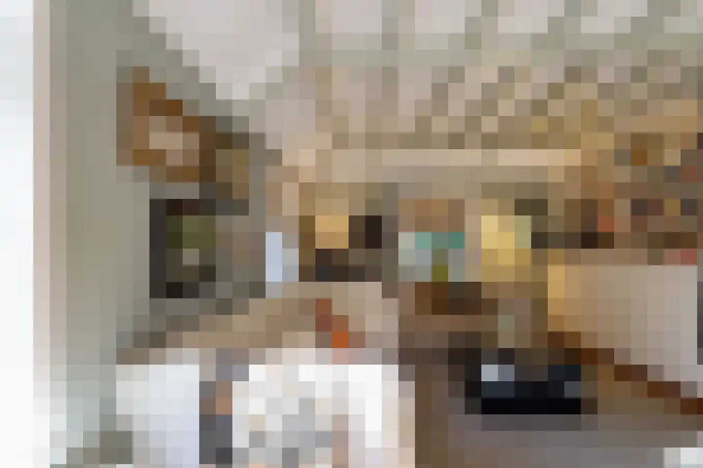 Matthijssenhoutweg 19 Blaricum thumbnail 8