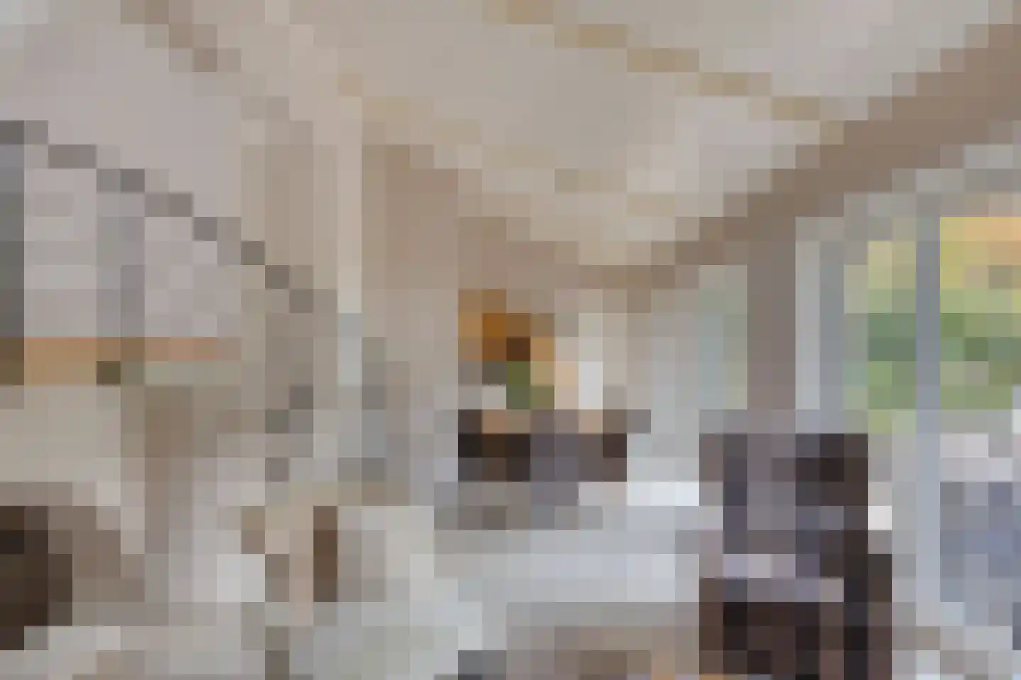 Matthijsstraat 24 Koewacht thumbnail 10