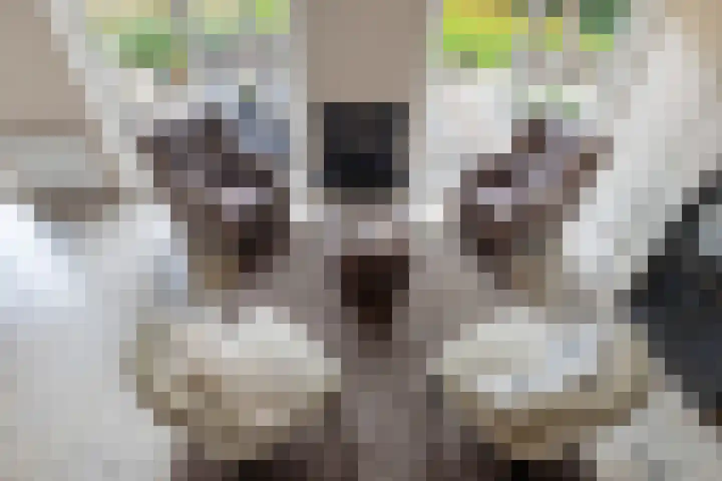 Matthijsstraat 24 Koewacht thumbnail 11