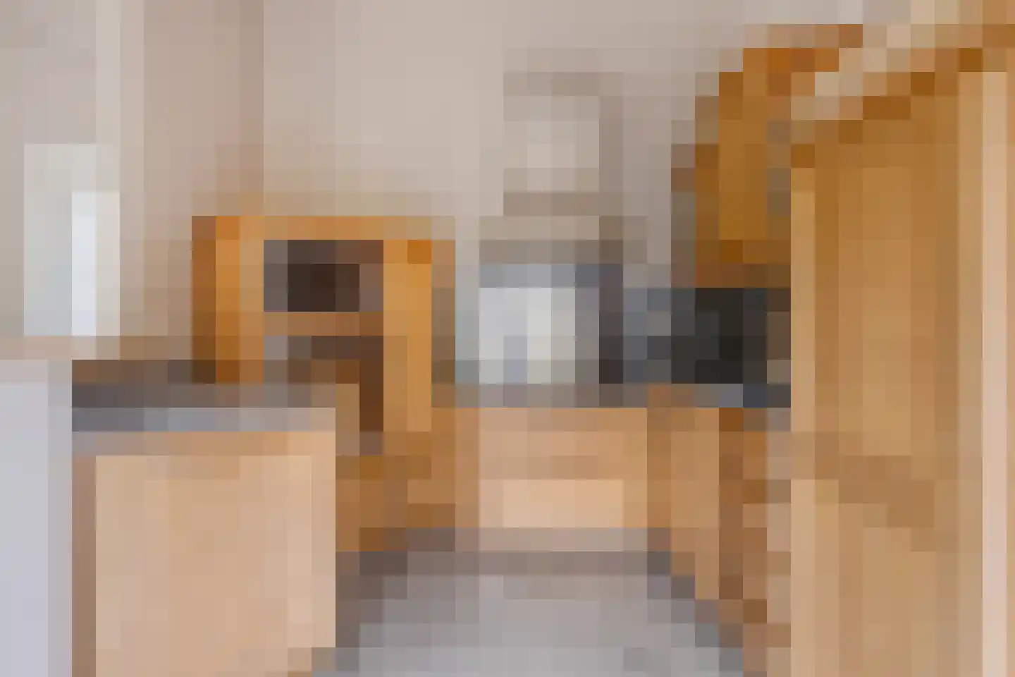 Matthijsstraat 24 Koewacht thumbnail 21