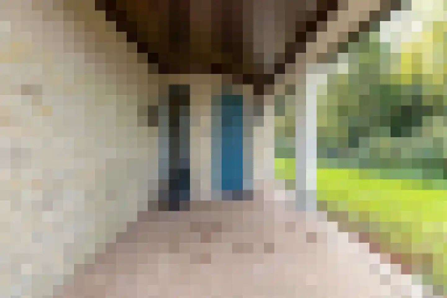 Matthijsstraat 24 Koewacht thumbnail 4
