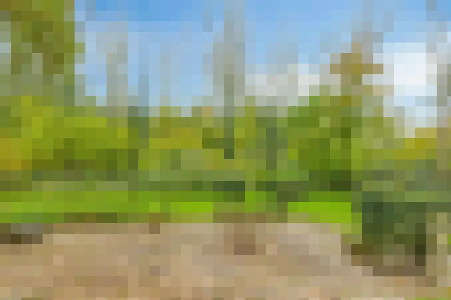 Matthijsstraat 24 Koewacht thumbnail 41