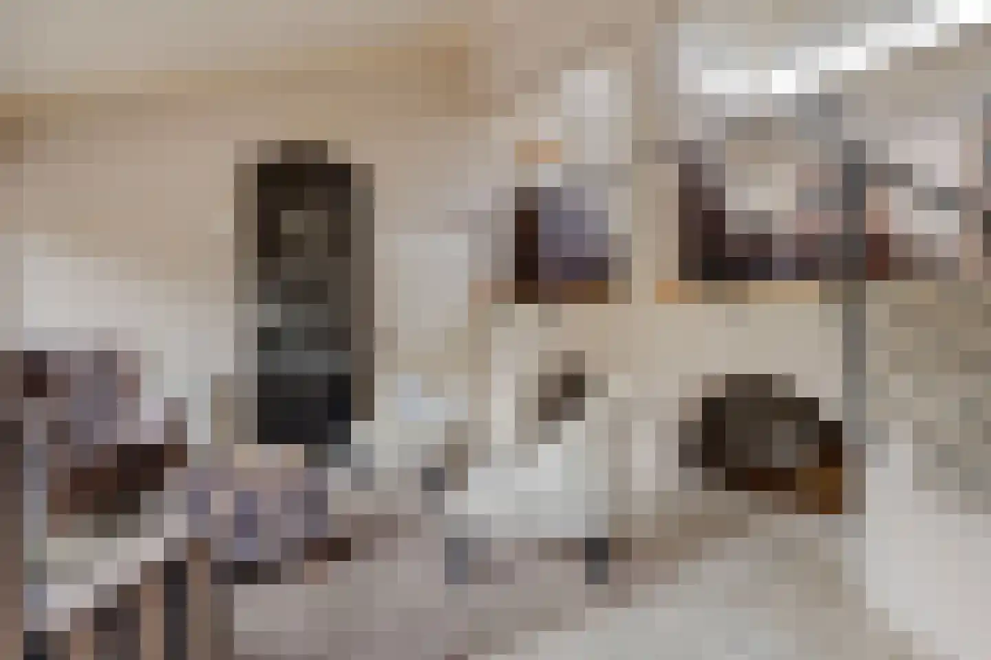 Matthijsstraat 24 Koewacht thumbnail 9