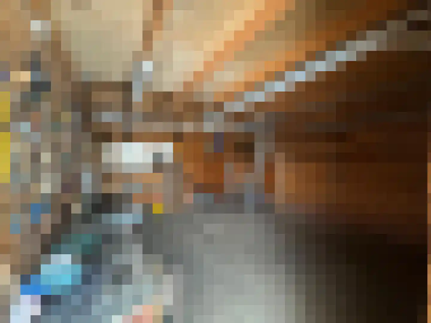 Matthijsstraat 25 Koewacht thumbnail 14