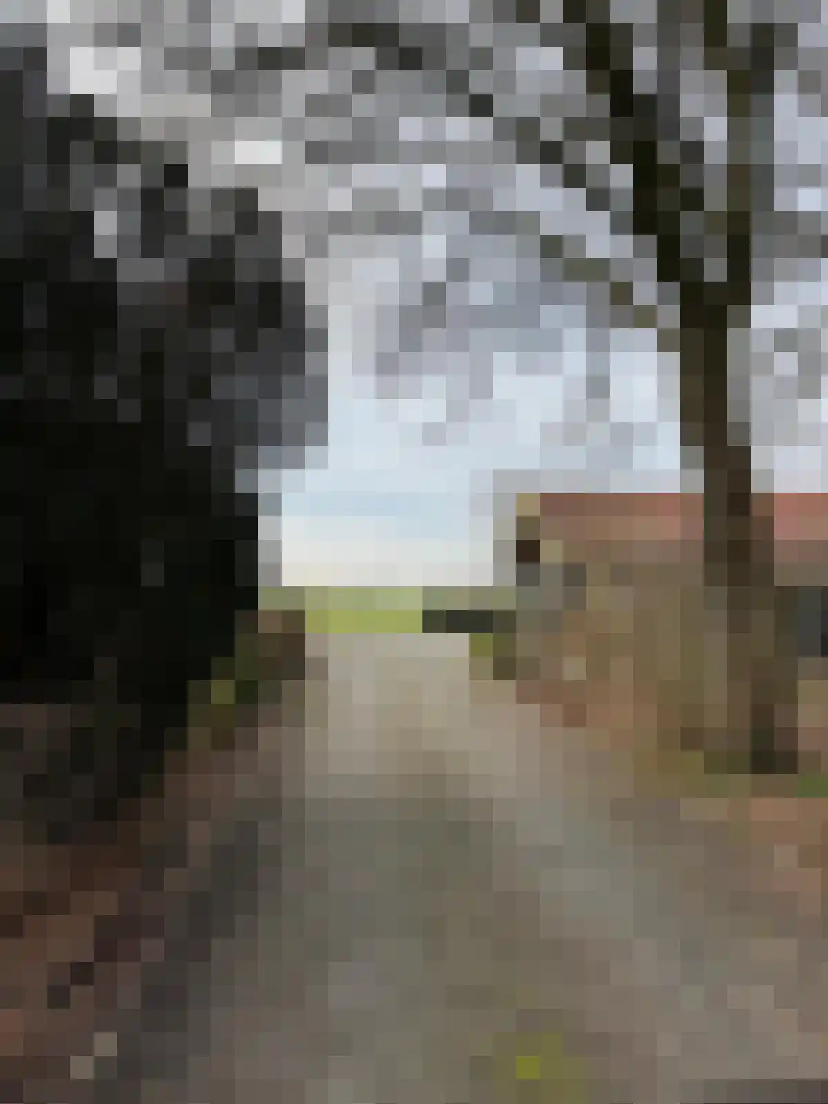 Matthijsstraat 25 Koewacht thumbnail 15