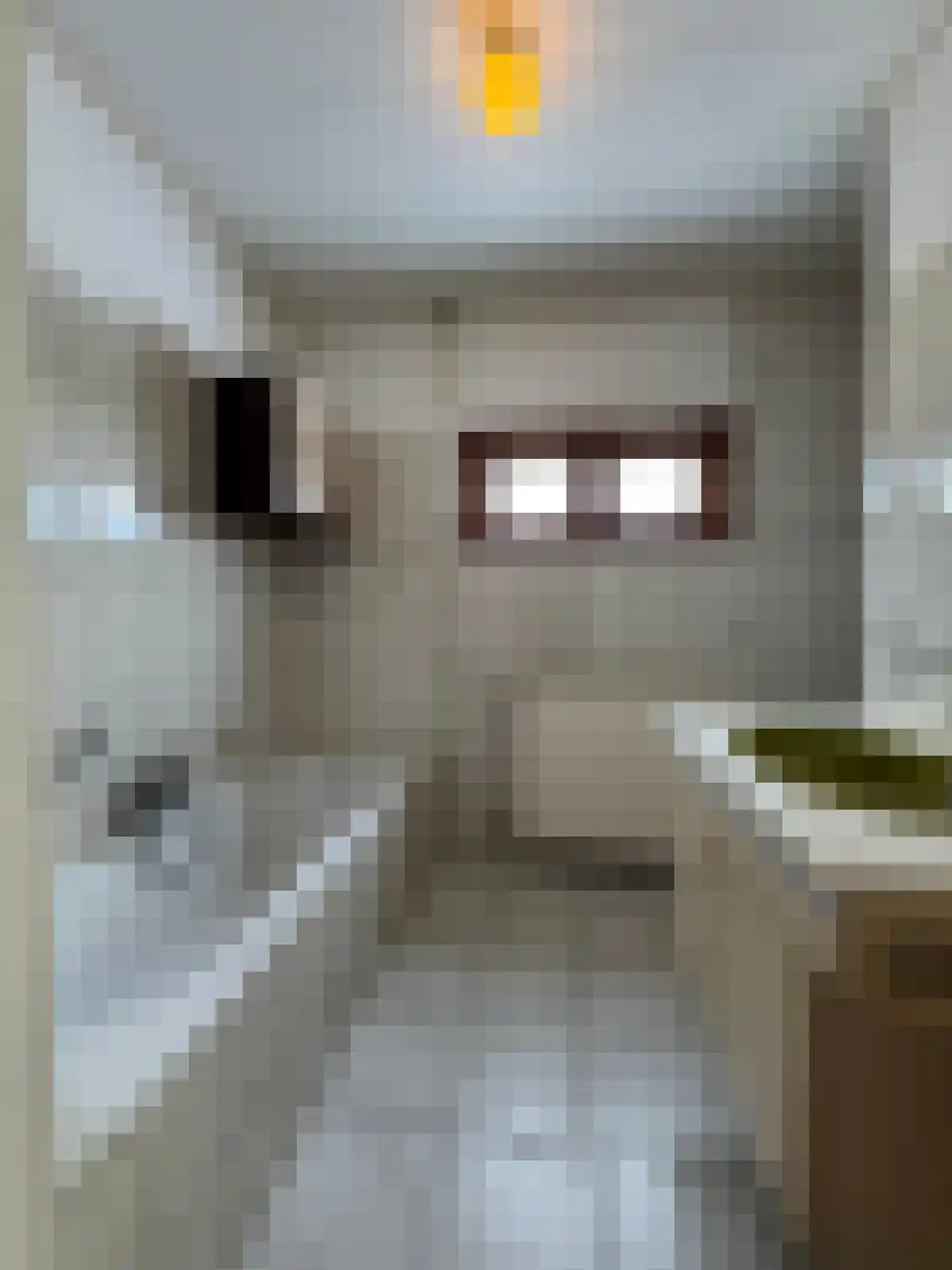 Matthijsstraat 25 Koewacht thumbnail 8