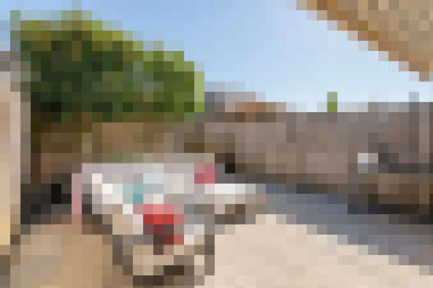 Matzkaplein 5 Tiel thumbnail 35
