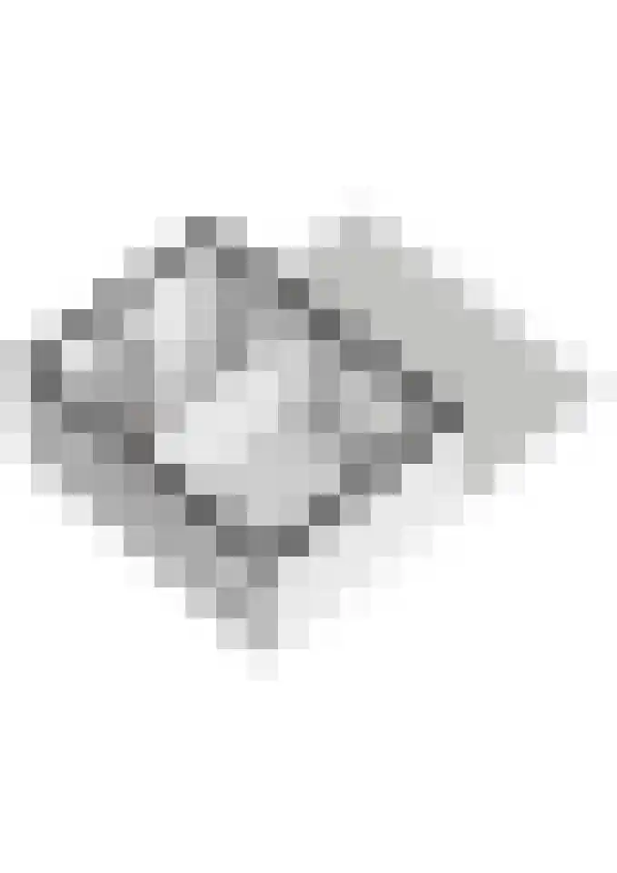 Matzkaplein 7 Tiel thumbnail 63