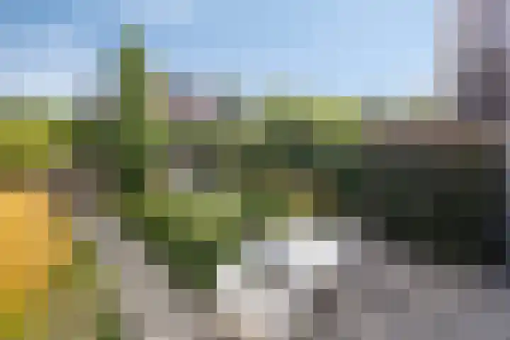 Mau de Jongstraat 19 Zaltbommel thumbnail 32