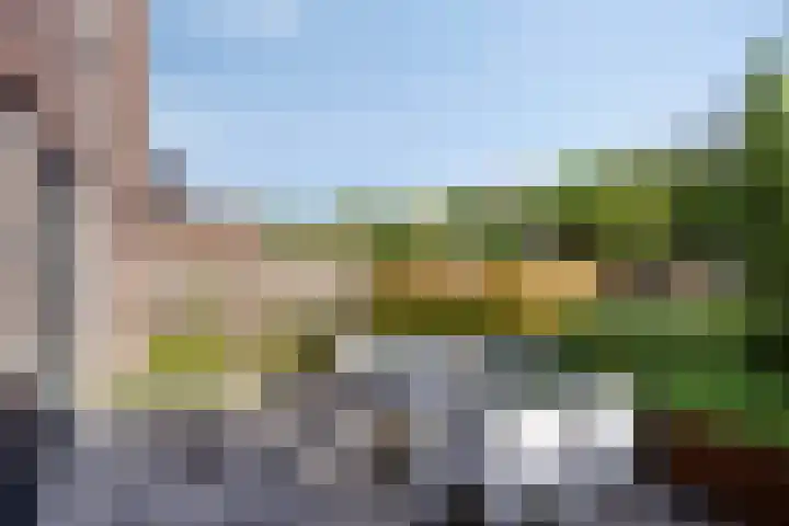 Mau de Jongstraat 19 Zaltbommel thumbnail 33