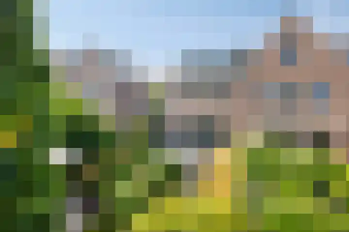 Mau de Jongstraat 19 Zaltbommel thumbnail 36