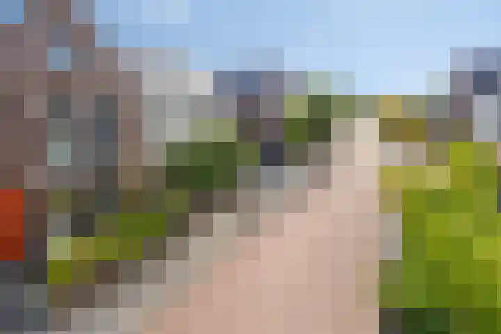 Mau de Jongstraat 19 Zaltbommel thumbnail 38