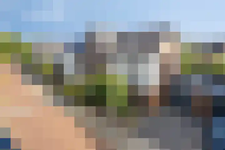 Mau de Jongstraat 19 Zaltbommel thumbnail 4