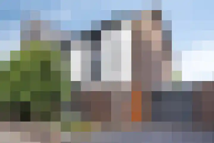 Mau de Jongstraat 19 Zaltbommel thumbnail 5