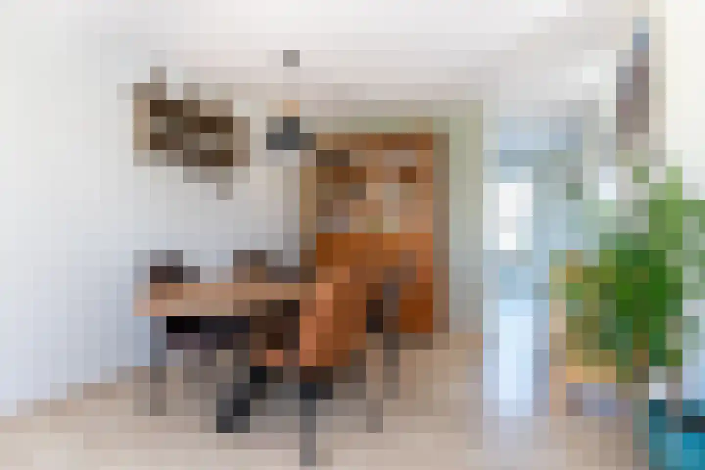 Maupertuus 2 Kollum thumbnail 12