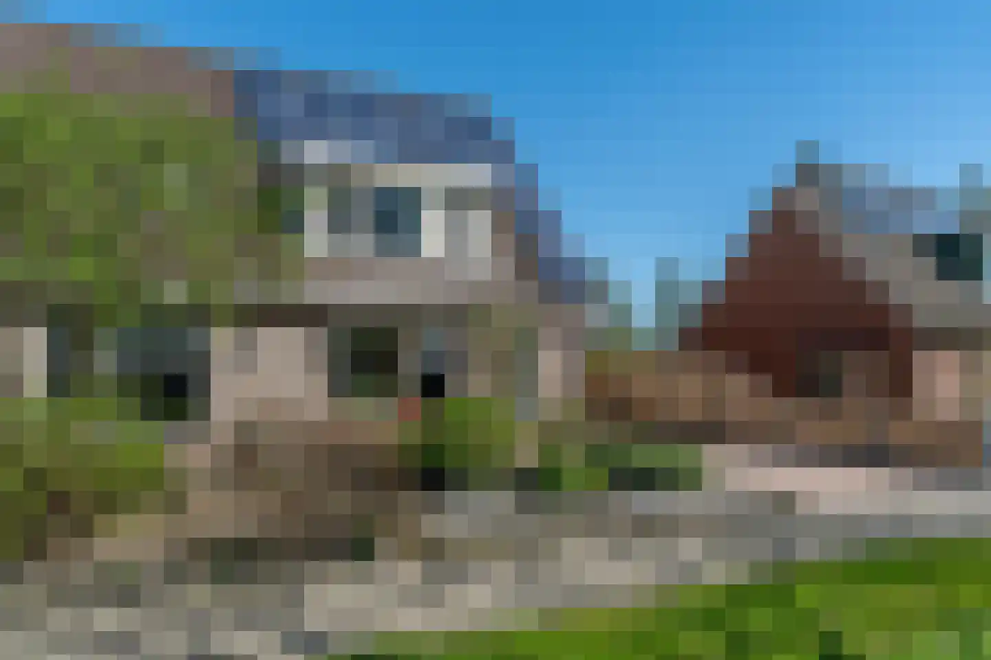 Maupertuus 2 Kollum thumbnail 6