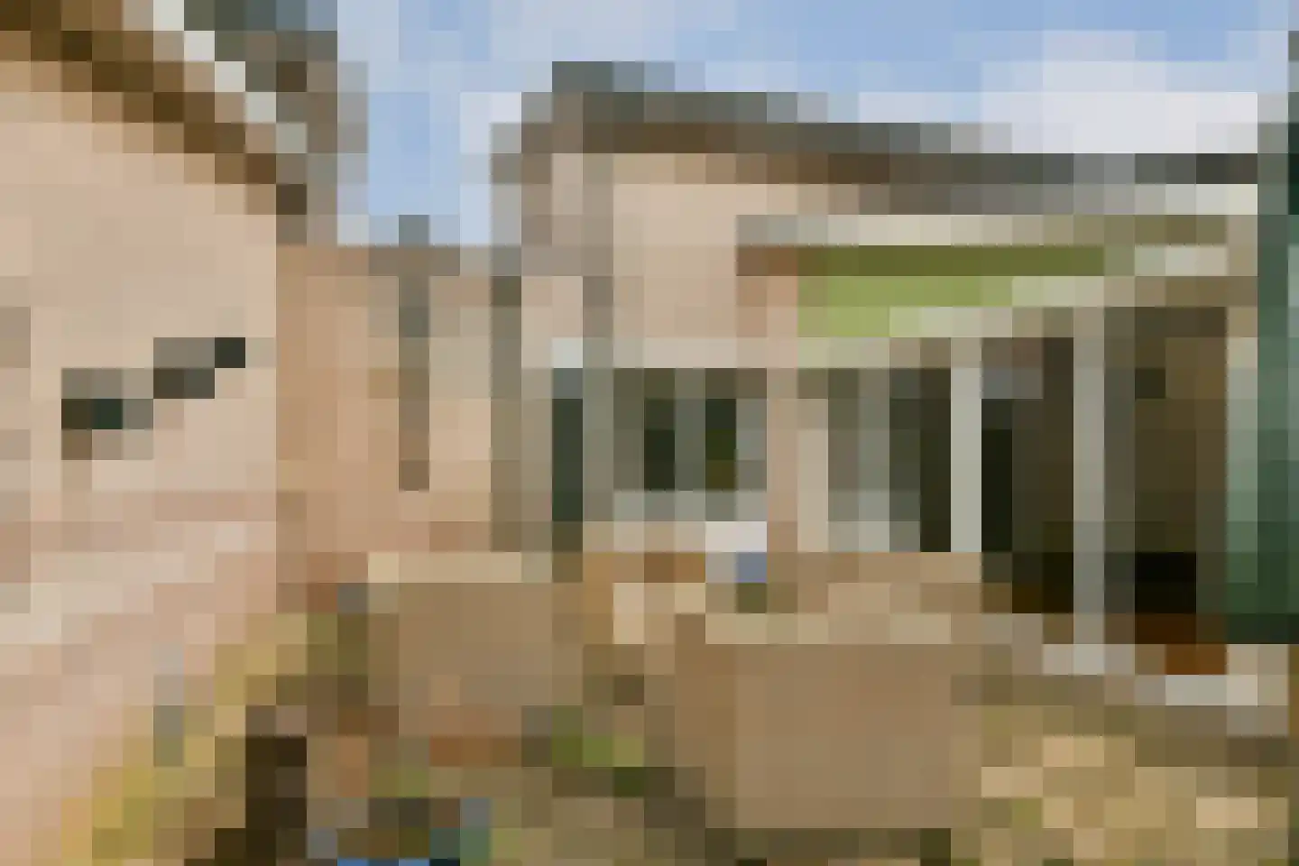Maurice Chevalierstraat 15 Almere thumbnail 32