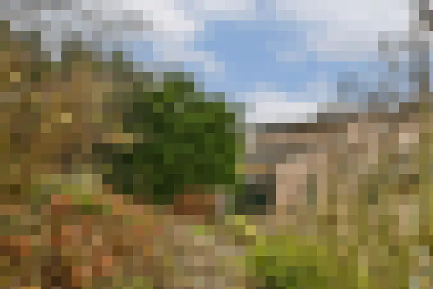 Maurice Chevalierstraat 15 Almere thumbnail 38