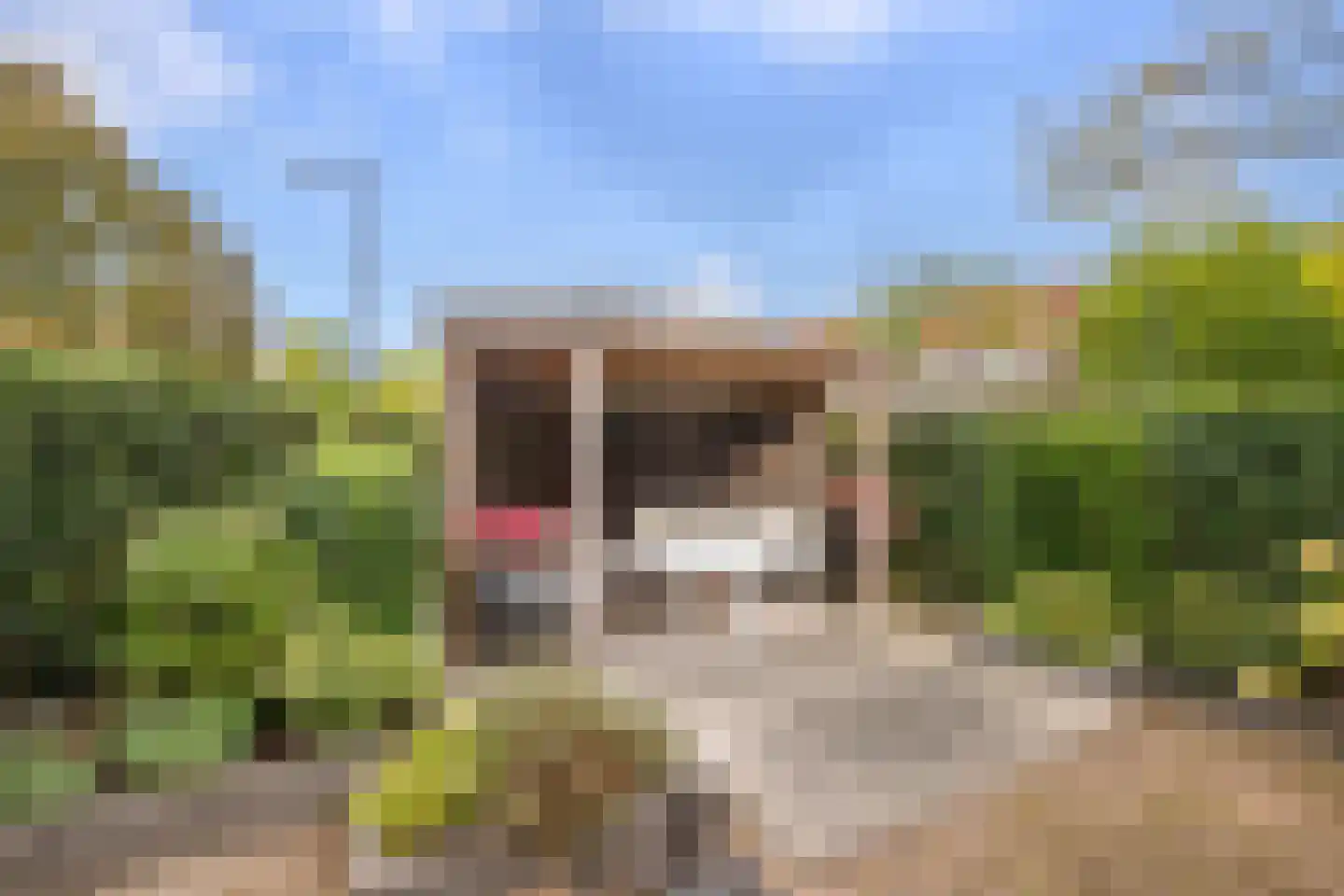 Maurice de Vlaminckstraat 6 Rotterdam thumbnail 45