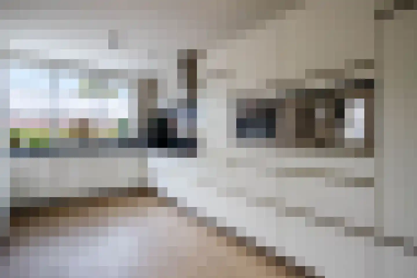 Maurice de Vlaminckstraat 6 Rotterdam thumbnail 8