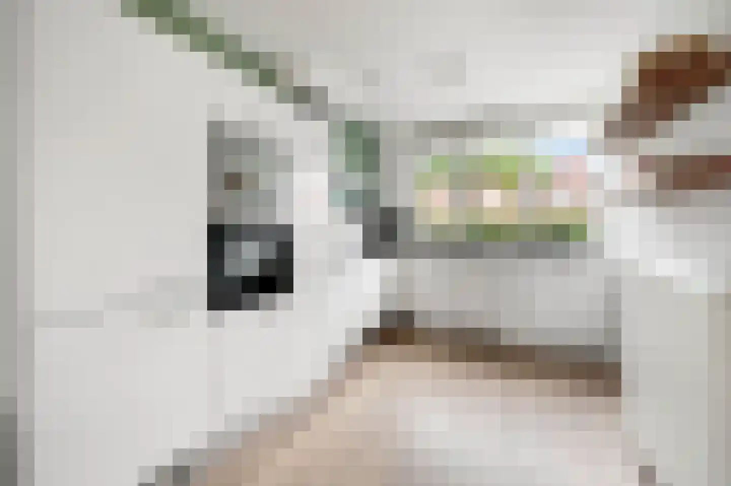 Maurice de Vlaminckstraat 8 Rotterdam thumbnail 10