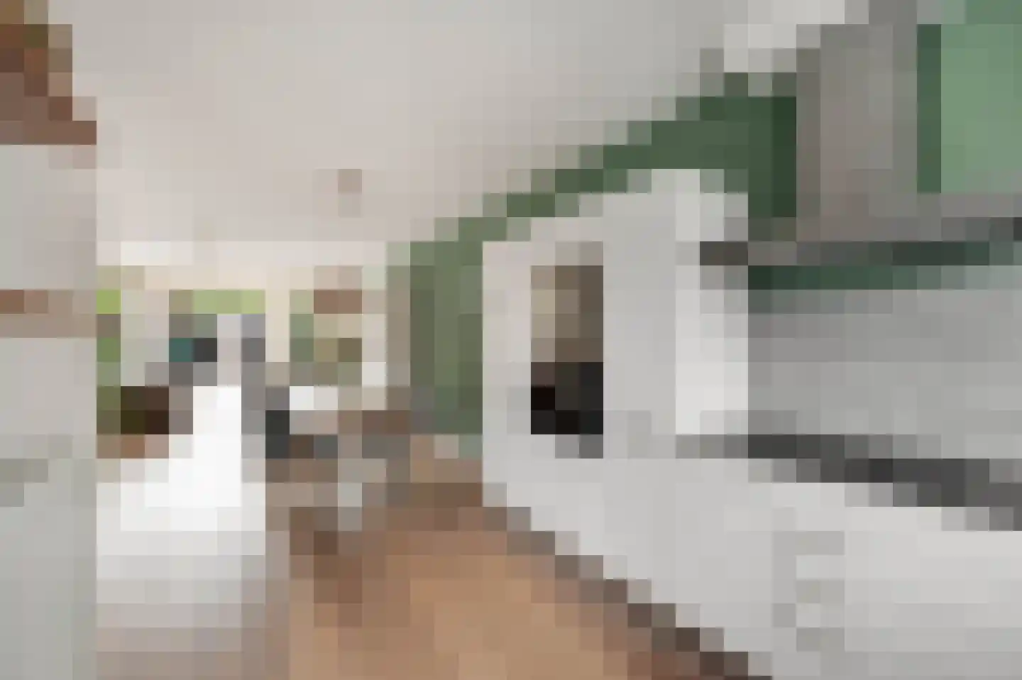 Maurice de Vlaminckstraat 8 Rotterdam thumbnail 11