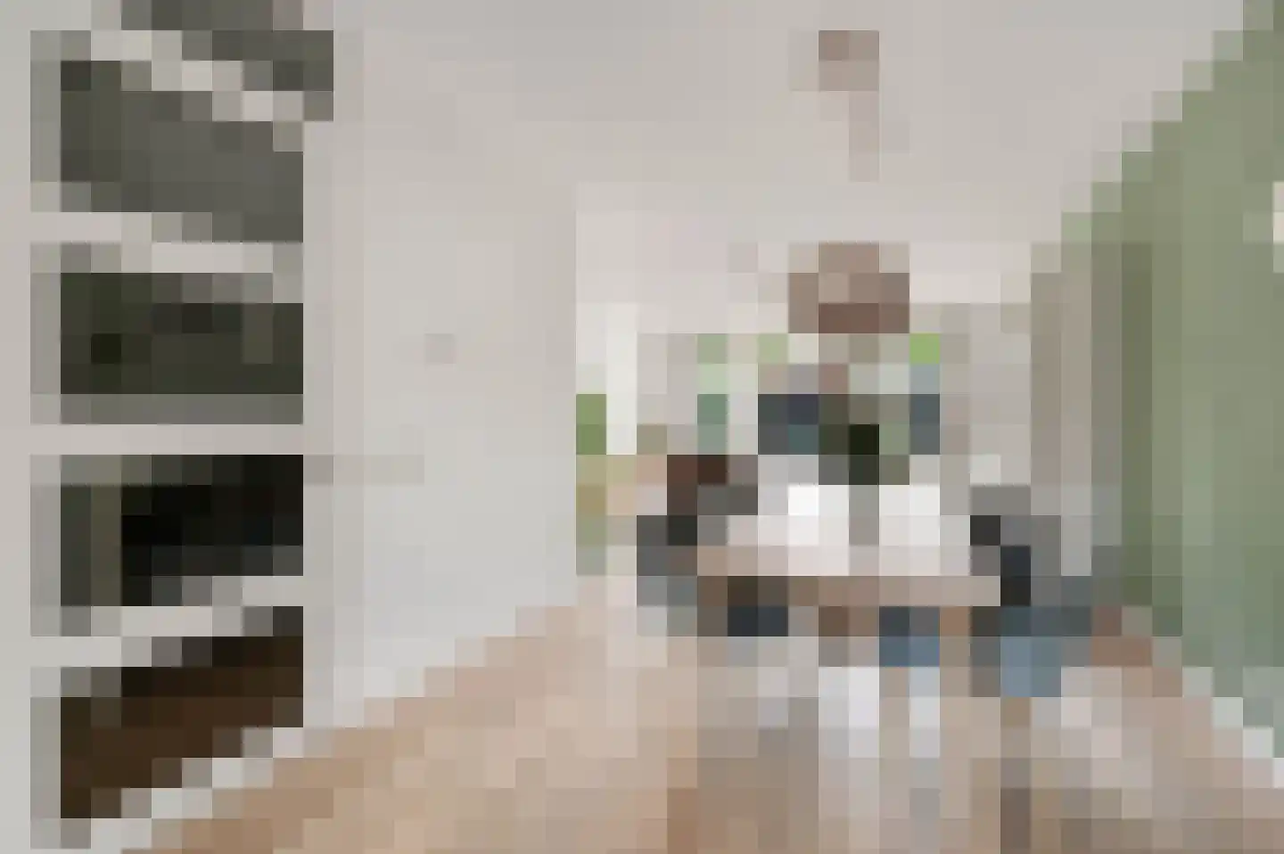 Maurice de Vlaminckstraat 8 Rotterdam thumbnail 7