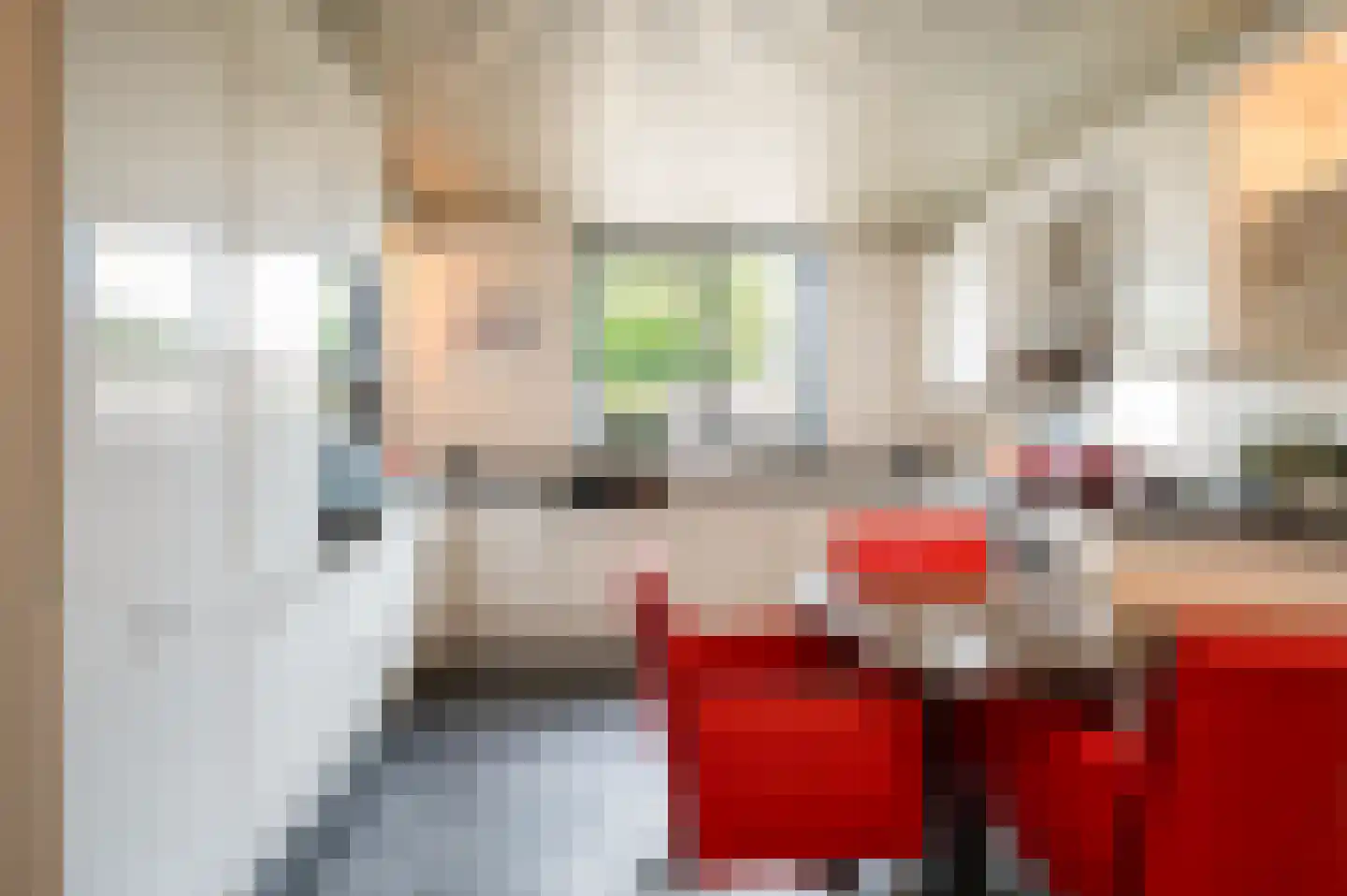 Maurice Gilliamsstraat 10 Dongen thumbnail 9