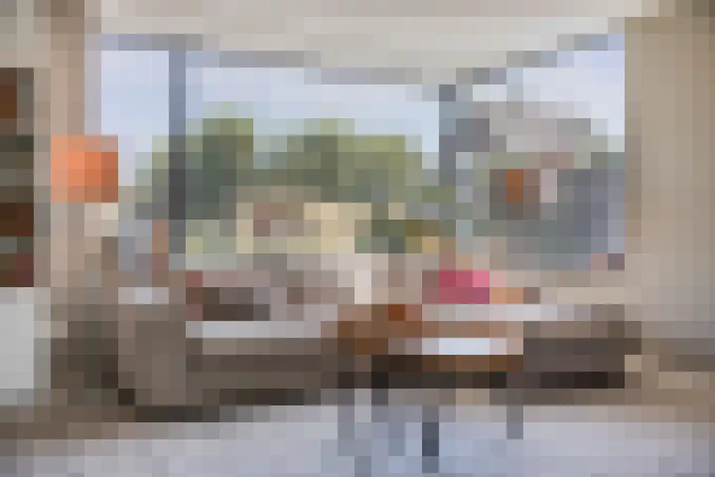 Maurice Gilliamsstraat 5 A Dongen thumbnail 15