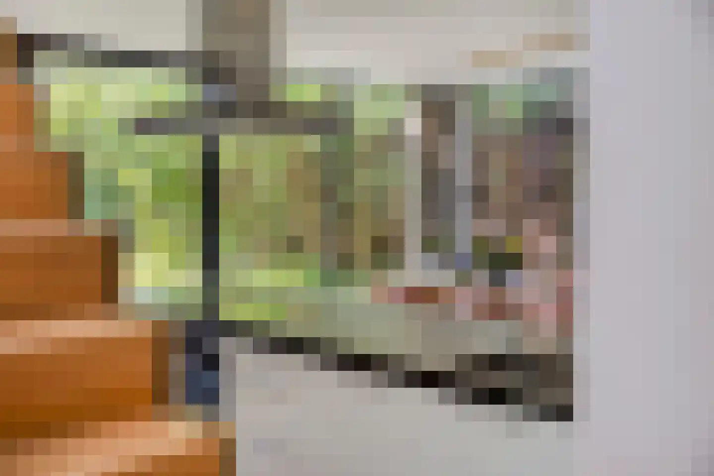 Maurice Gilliamsstraat 5 A Dongen thumbnail 23