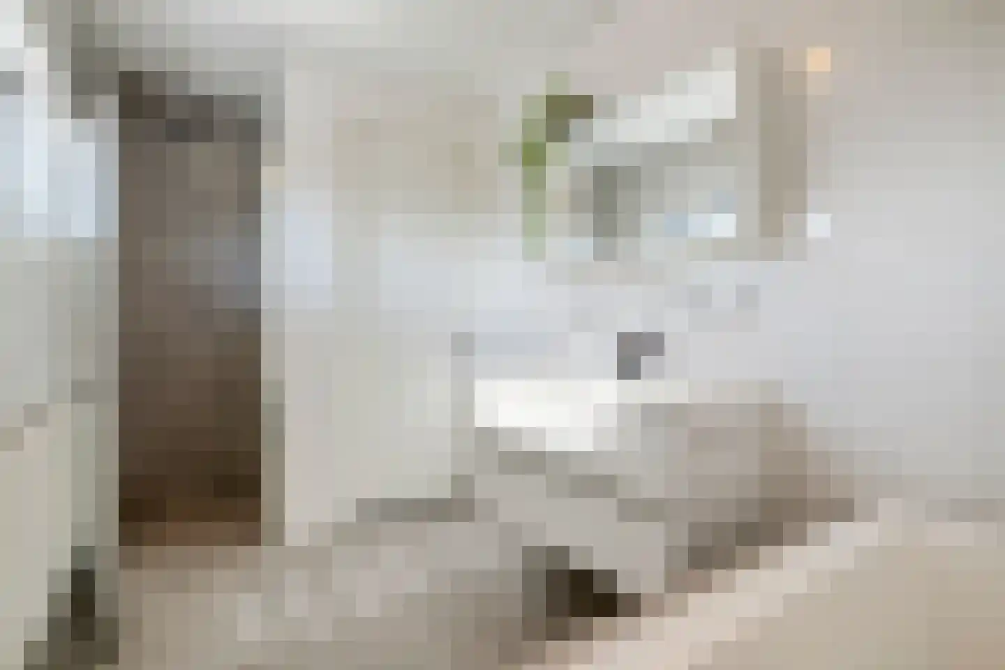Maurice Gilliamsstraat 5 A Dongen thumbnail 6