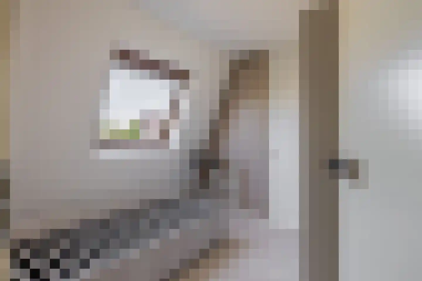 Maurice Ravèlstraat 50 Zaandijk thumbnail 31