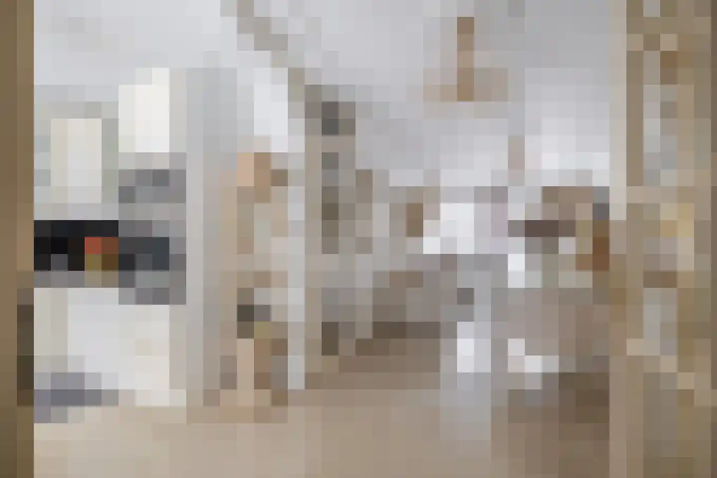 Maurice Ravèlstraat 50 Zaandijk thumbnail 7