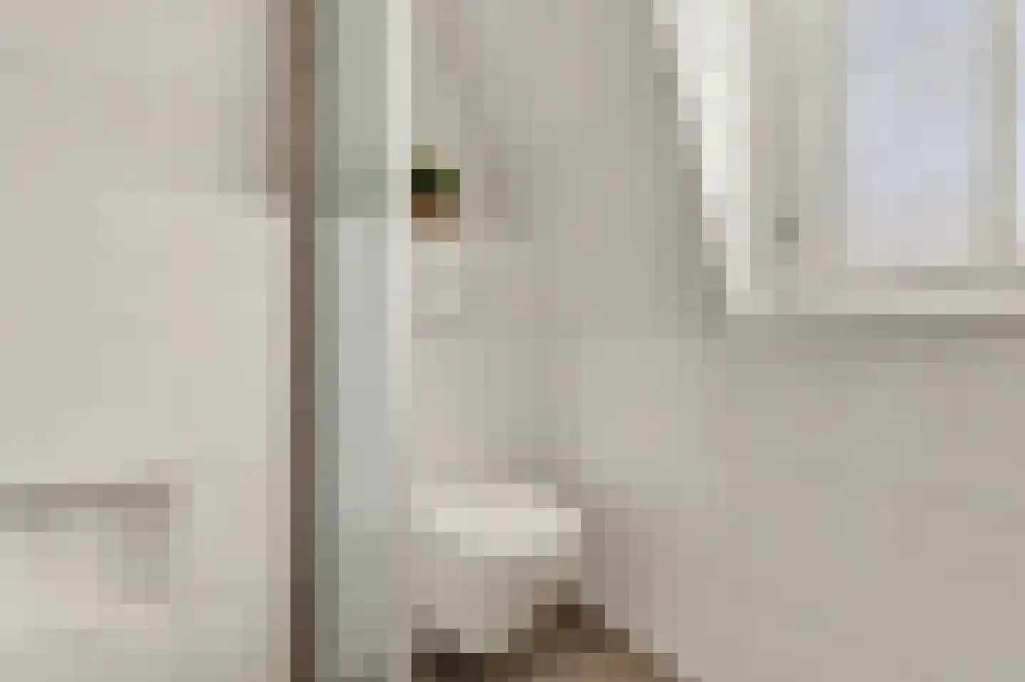 Maurice Ravèlstraat 79 Zaandijk thumbnail 27