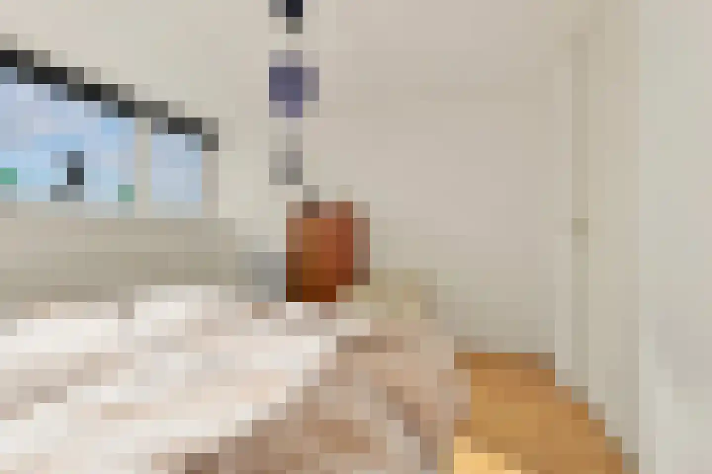 Maurice Ravèlstraat 79 Zaandijk thumbnail 32