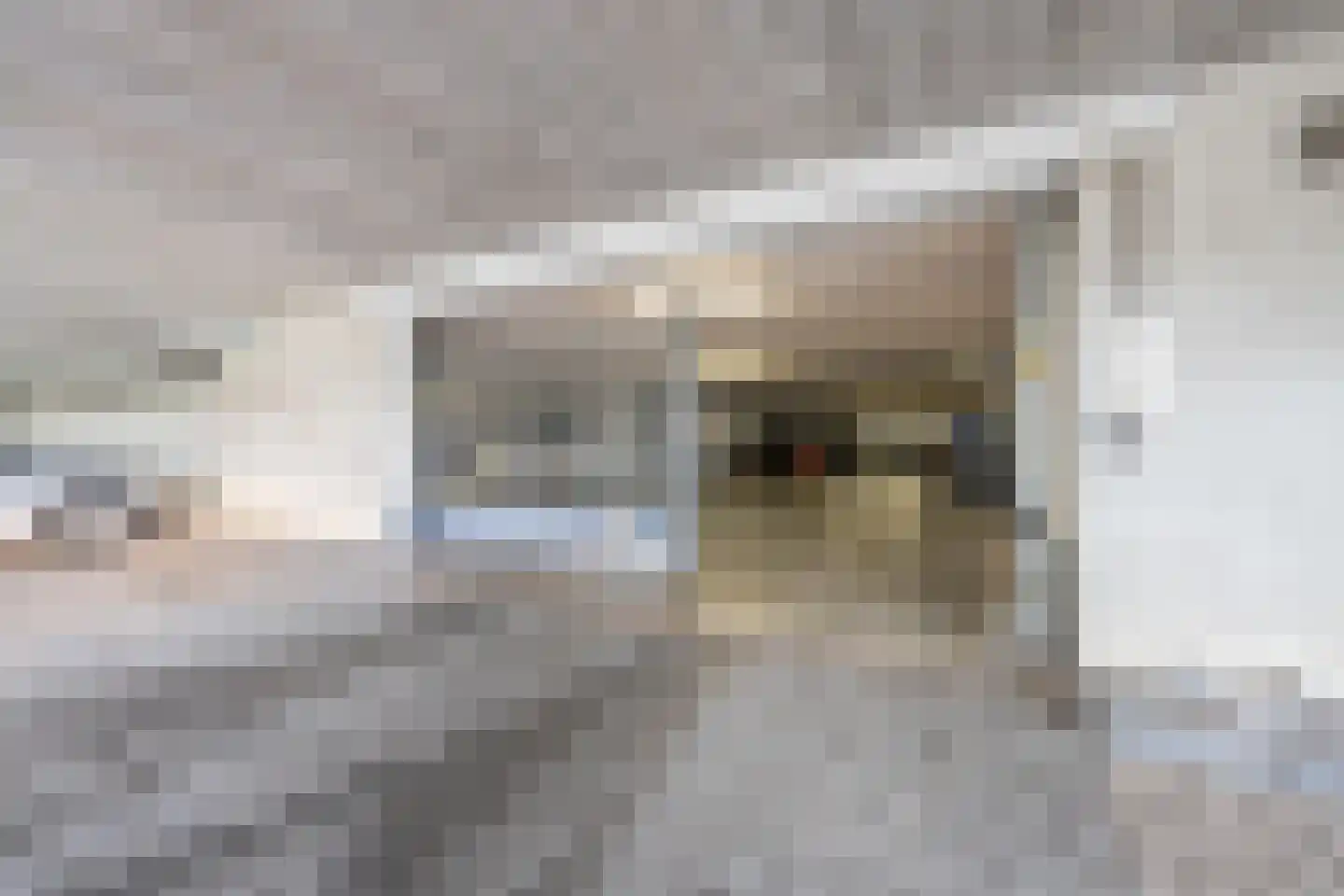 Maurikstraat 115 Tiel thumbnail 47
