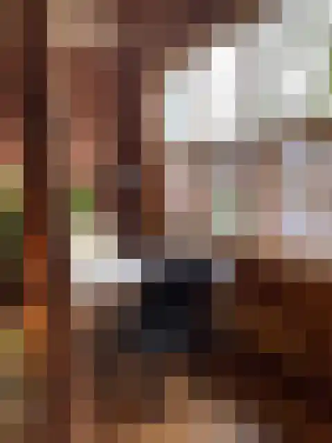 Maurikstraat 25 Langenboom thumbnail 8