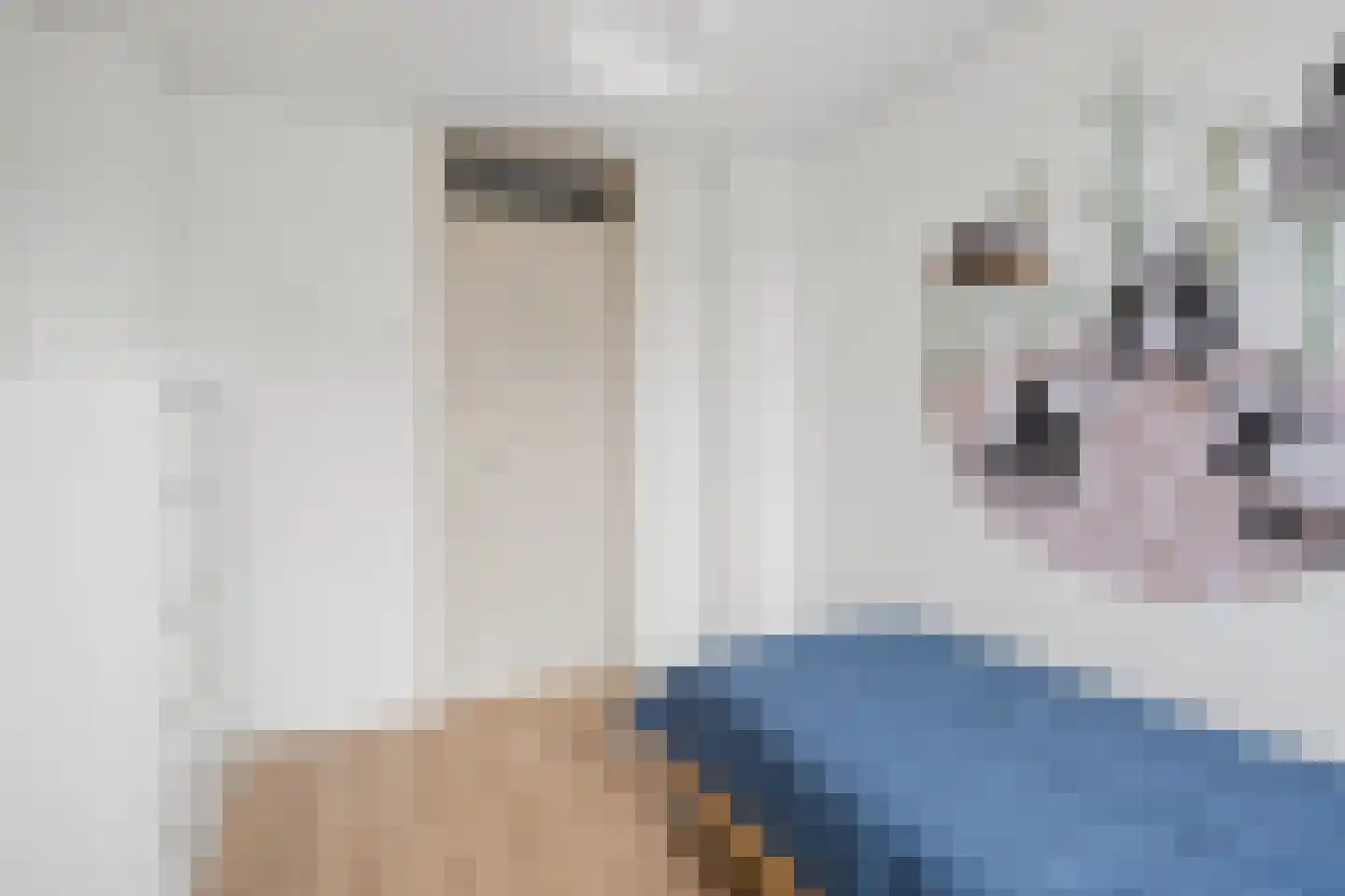 Maurikstraat 26 Tiel thumbnail 23