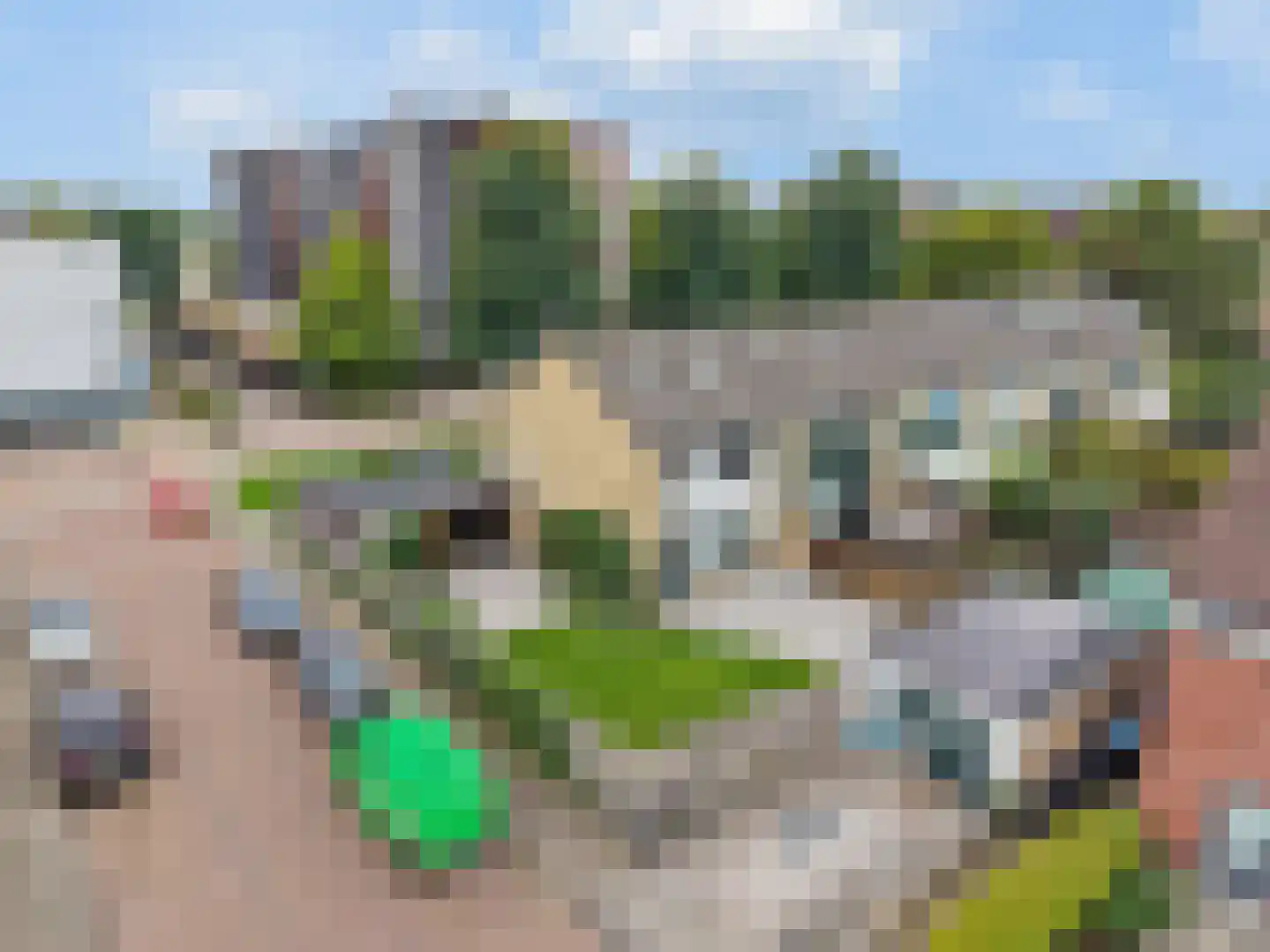 Maurikstraat 26 Tiel thumbnail 46