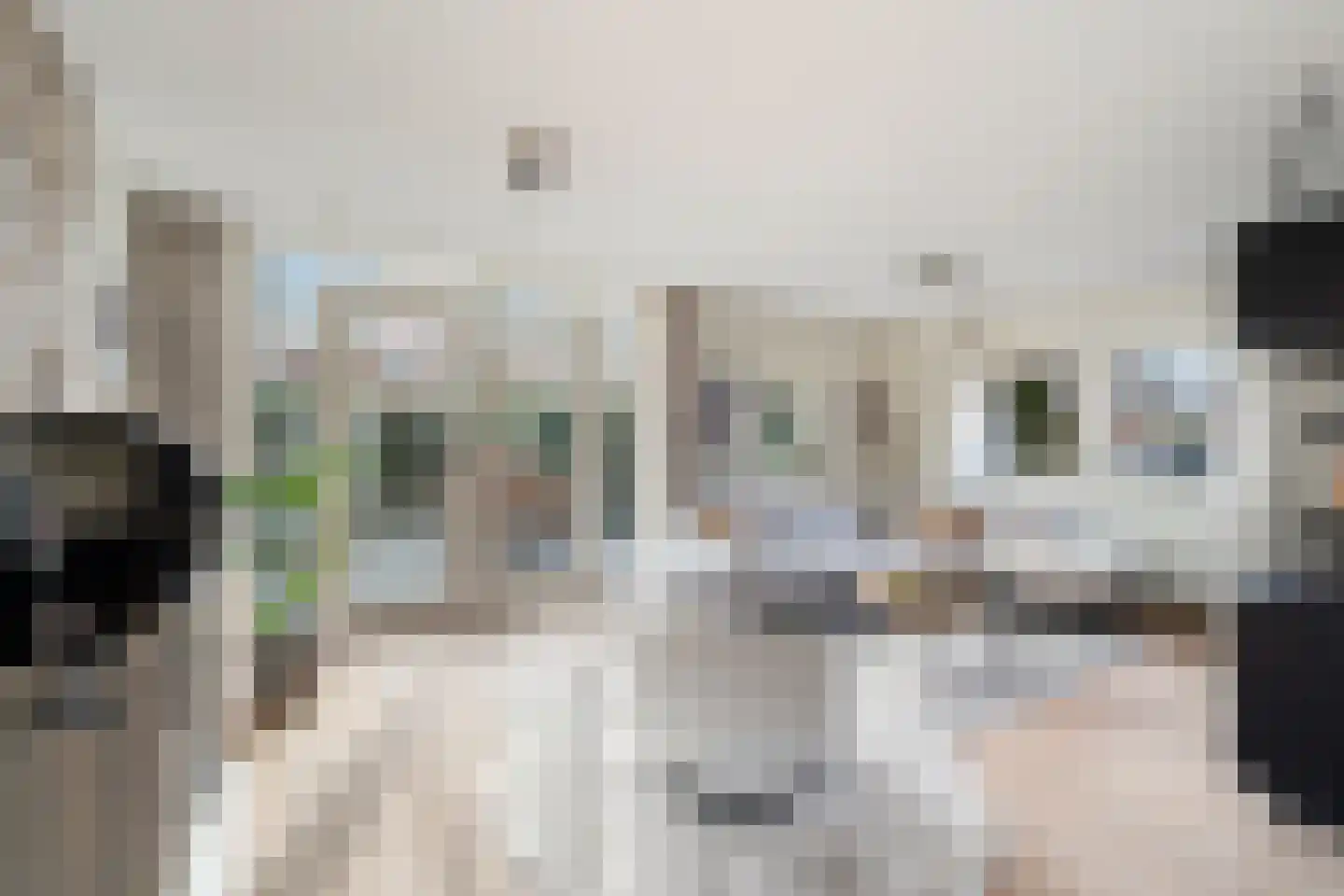 Mauritius 8 Zoetermeer thumbnail 12
