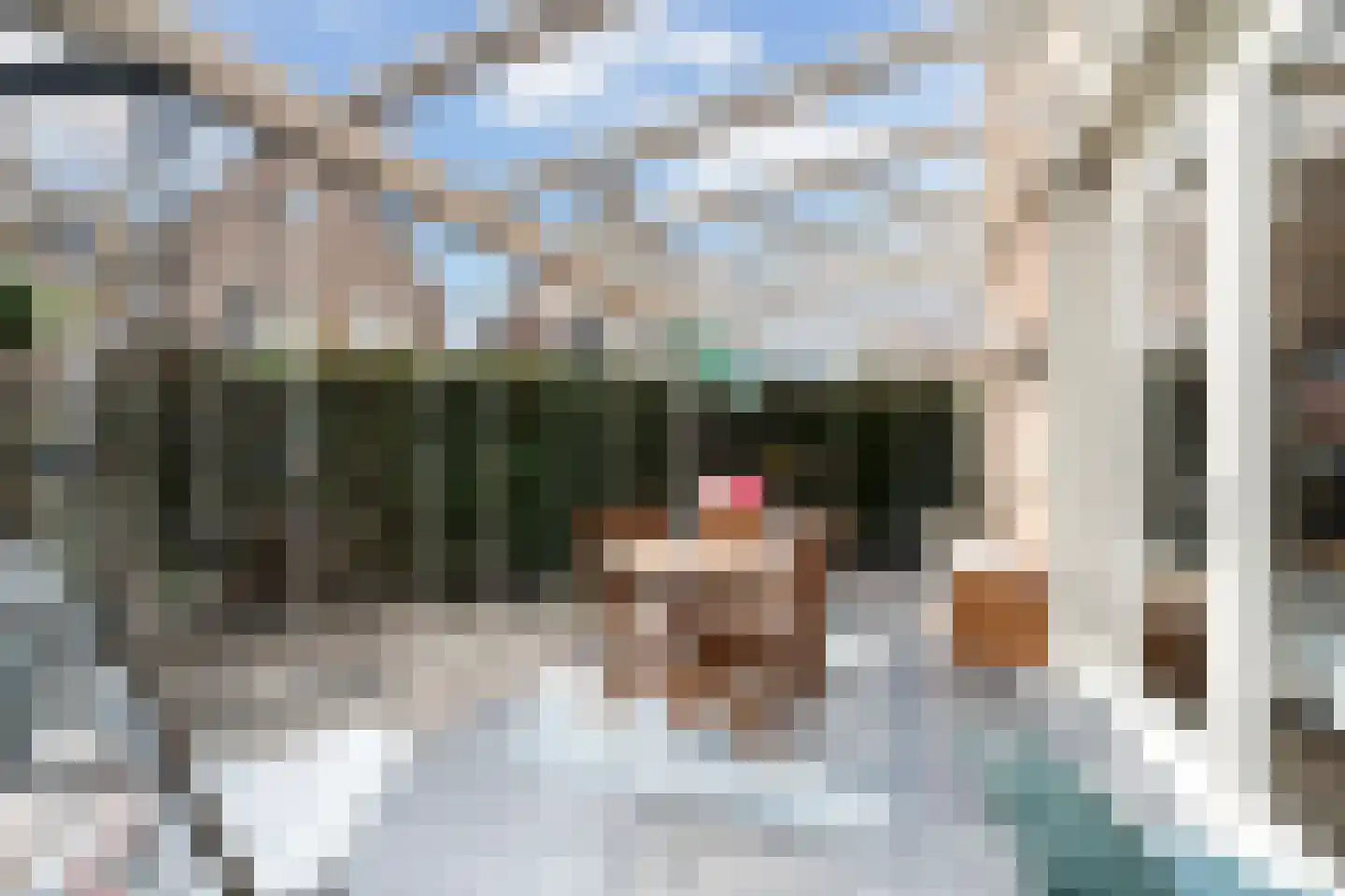 Mauritius 8 Zoetermeer thumbnail 14
