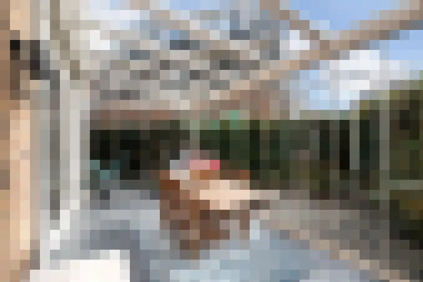 Mauritius 8 Zoetermeer thumbnail 16