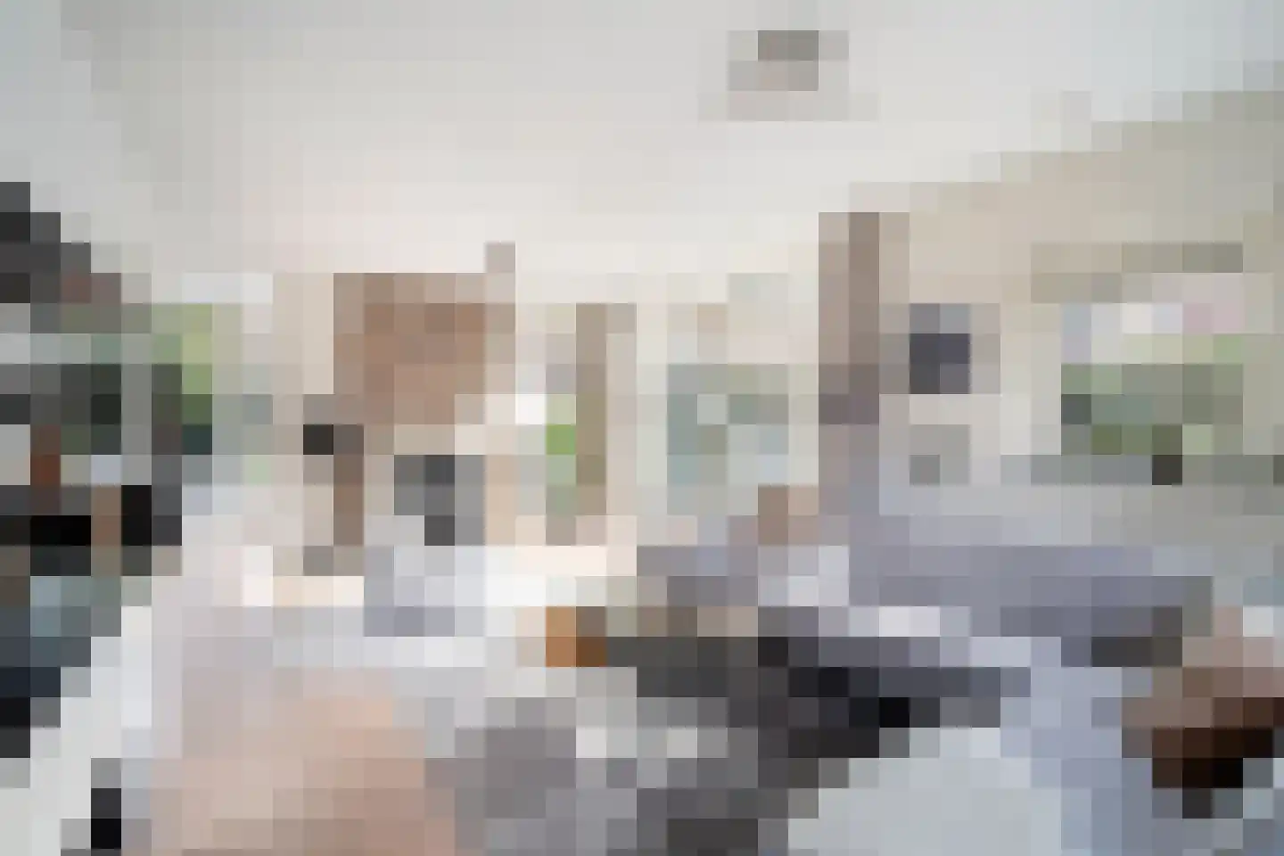 Mauritius 8 Zoetermeer thumbnail 19