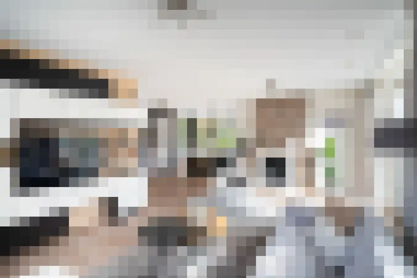Mauritius 8 Zoetermeer thumbnail 20
