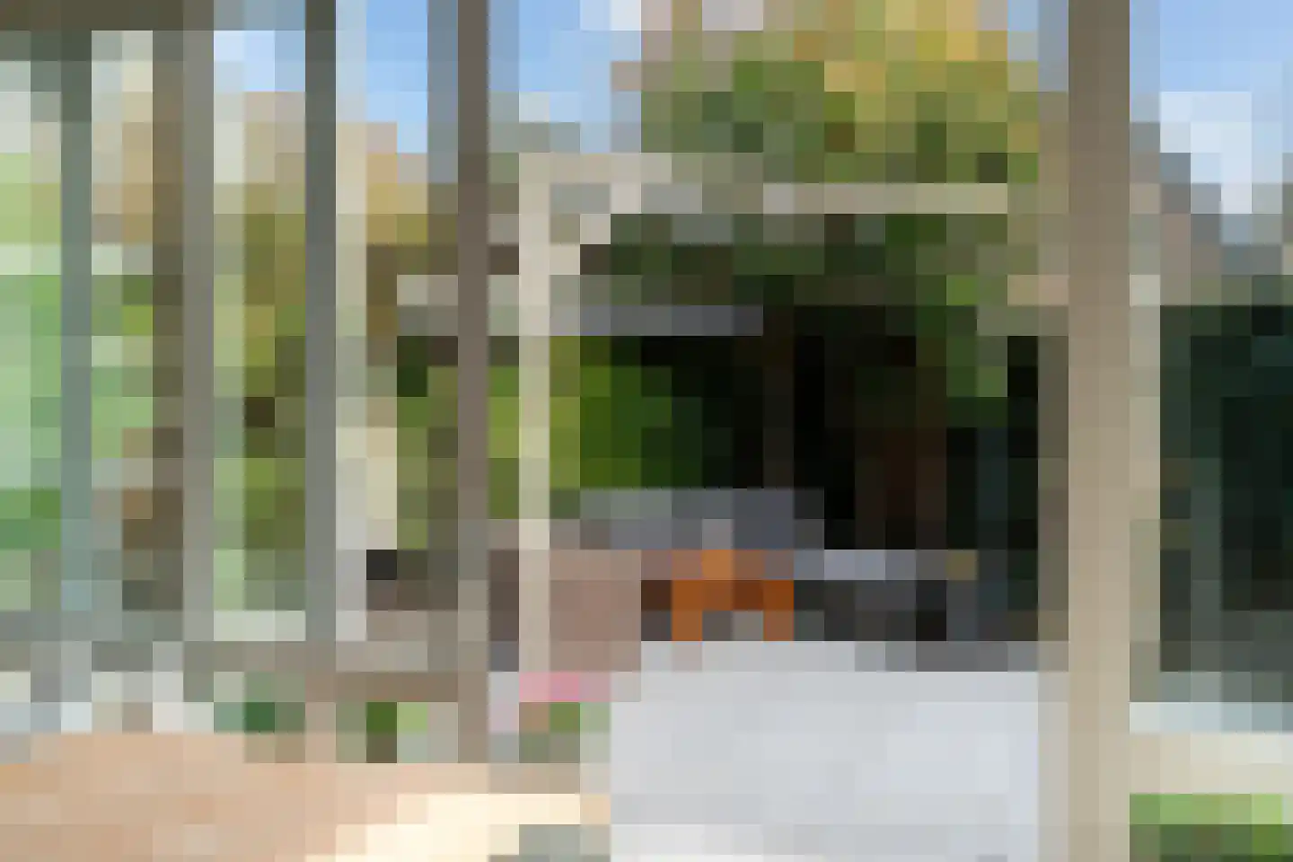 Mauritius 8 Zoetermeer thumbnail 23