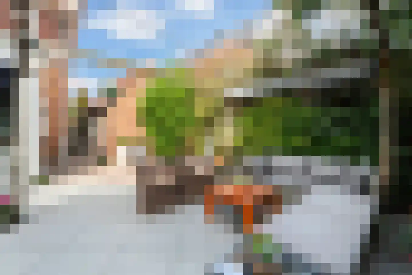 Mauritius 8 Zoetermeer thumbnail 24