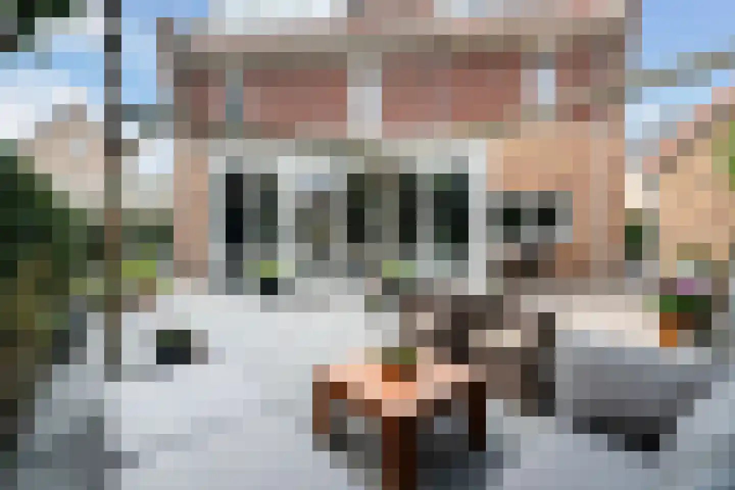 Mauritius 8 Zoetermeer thumbnail 25