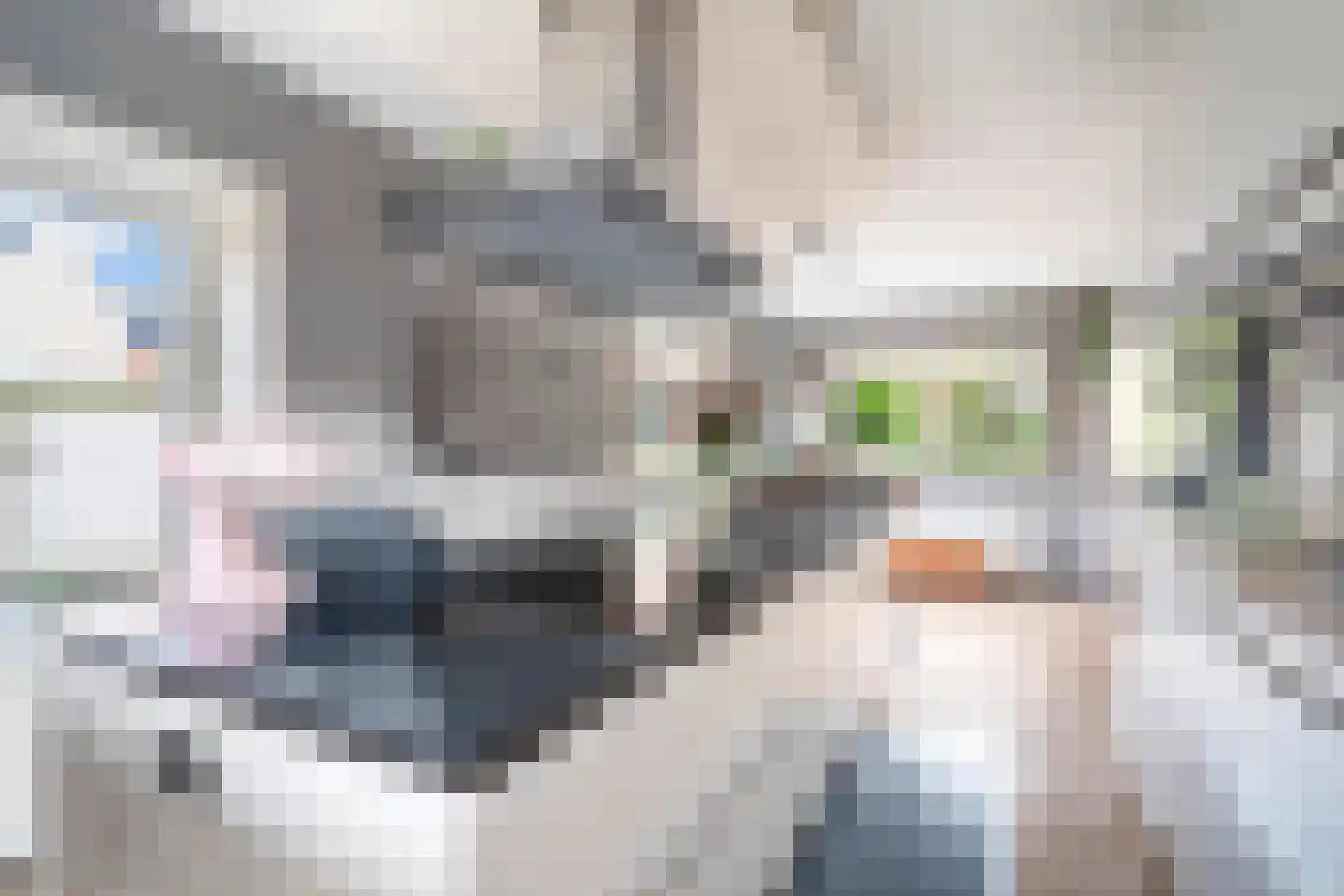 Mauritius 8 Zoetermeer thumbnail 32